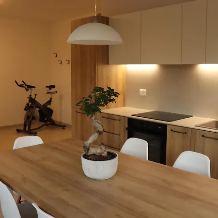 Apartamento Domus Aurus Family